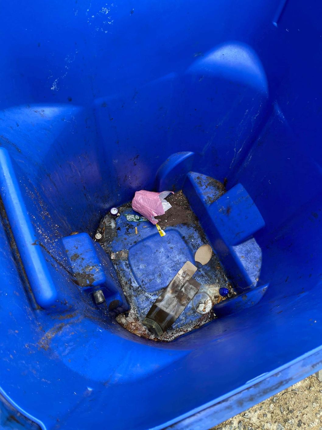 3 of the Worst Things That Could Be Growing In Your Trash Can